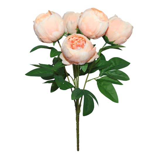 20" Peach Peony Deluxe Bush by Ashland®